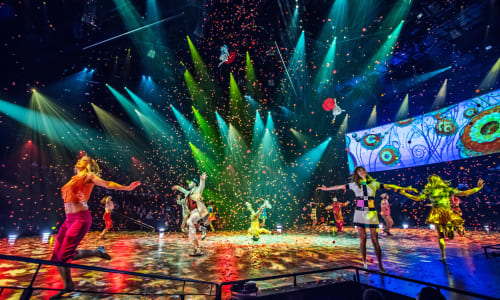 Cirque du Soleil or a concert by a famous artist Las Vegas