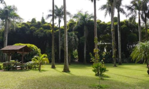 Jardín Botánico Francisco Javier Clavijero Xalapa